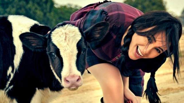 بالفيديو.. ولادة عجل بشكل غريب عجيب!! 1