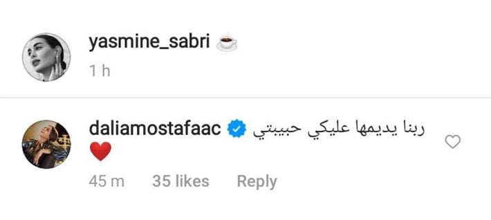 ياسمين صبري تظهر مجددًا بطائرتها الخاصة.. وداليا مصطفى تعلق 49