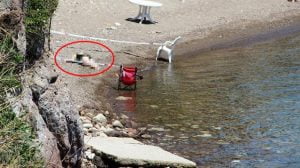 مصرع عجوز غرقا في بودروم