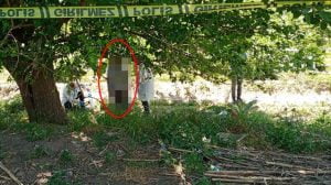 الشرطة التركية تعثر على جثة معلقة على شجرة في أيدين