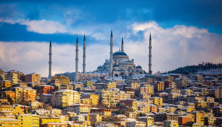 حزب "الوطن" اليساري