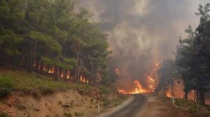 اندلع حريق في غابات كيراز بإزمير