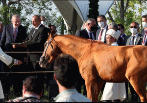 علييف يهدي أردوغان حصانًا أصيلًا (فيديو)