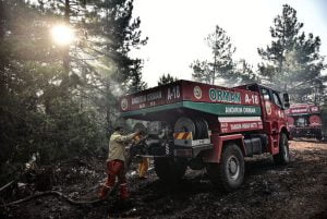 حريق في غابات مرسين