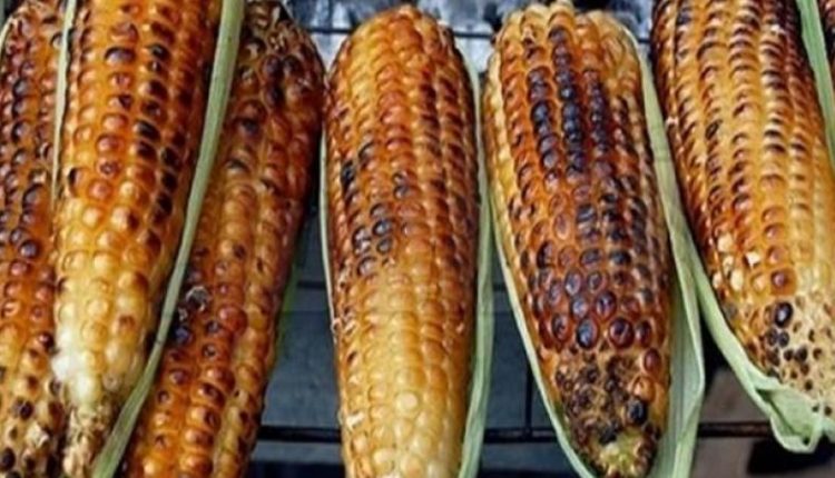 فوائد الذرة المشوية