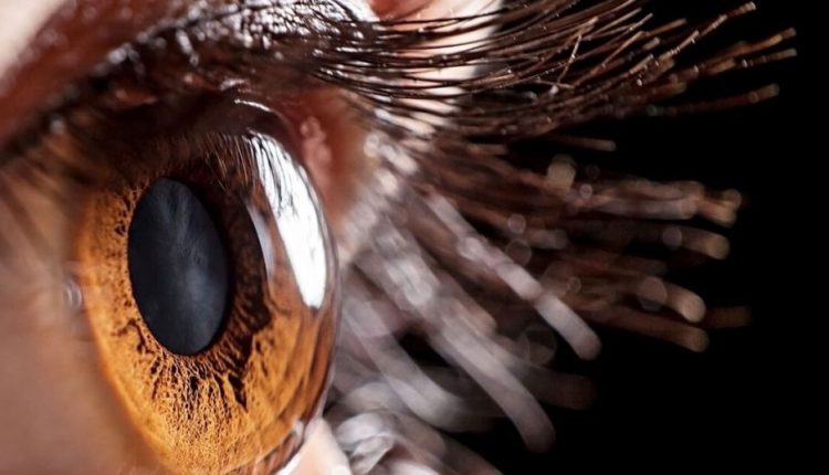 دراسة تكشف أن بؤبؤ العين يمكنه الكشف عن مدى ذكاء صاحبه
