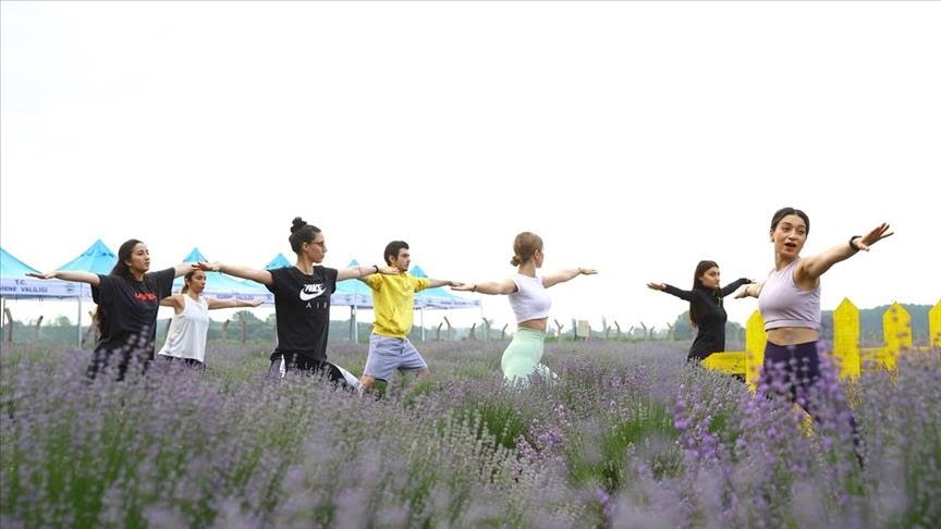 نساء يمارسن اليوغا في الحقول التركية الأرجوانية 1