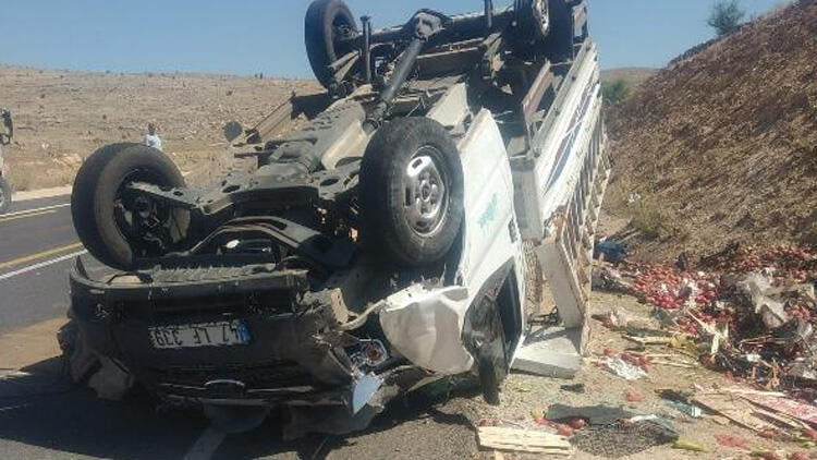 عمار البوريني