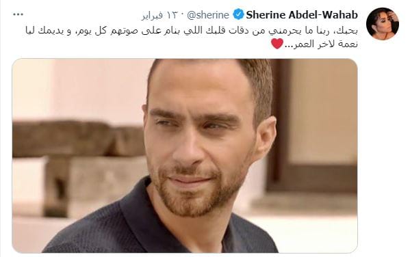 في وضعية رومانسية.. شيرين عبد الوهاب تنشر صور تجمعها مع زوجها حسام حبيب 3