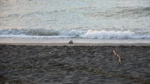 لغم بحري دوزجة