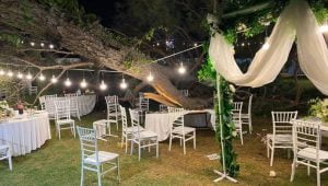 شجرة تحول حفل زفاف إلى بيت عزاء في أنطاليا 