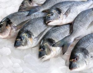 نصائح هامة عند شراء “السمك