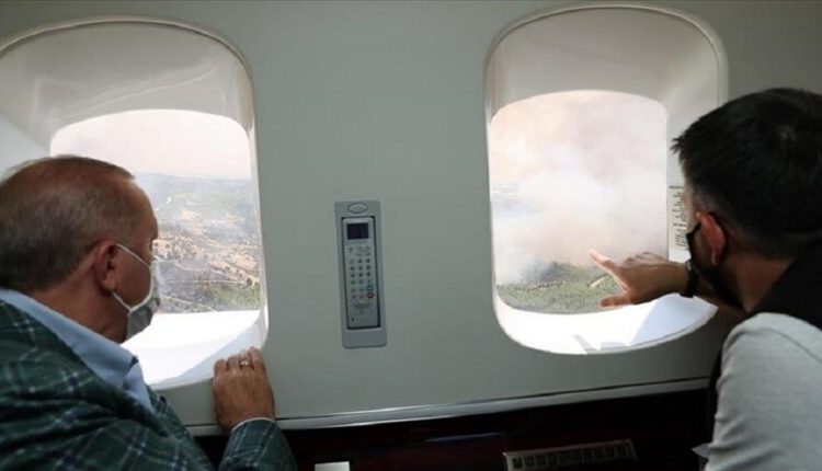 إشعال حرائق الغابات