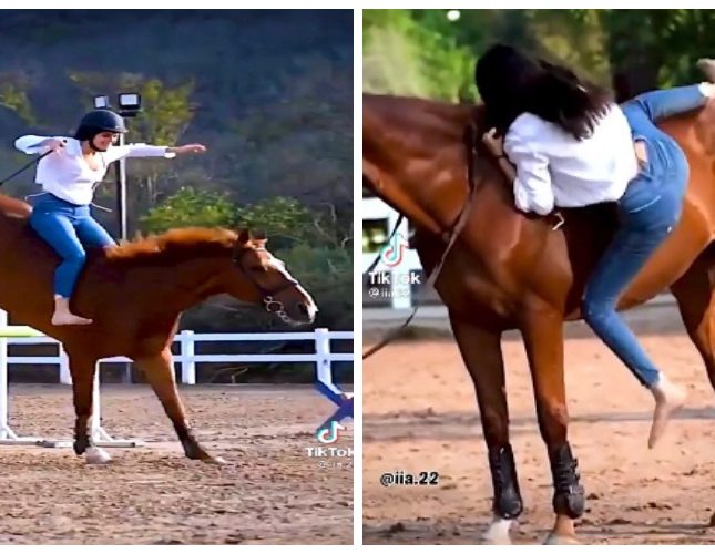 فتاة حسناء تستعرض مهاراتها في ركوب الخيل والقفز دون “لجام”