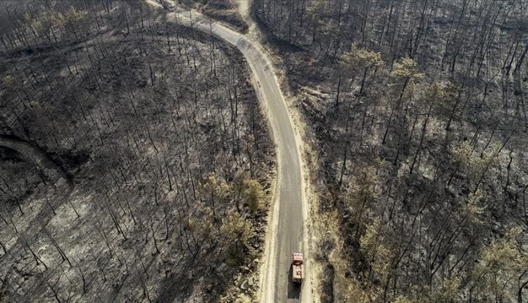 الرئيس أردوغان يعلن 5 ولايات تركيه "مناطق منكوبة"