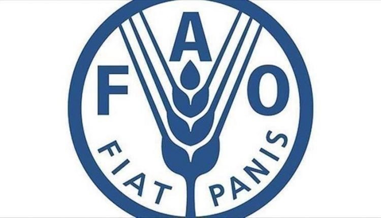 مستوى الأمن الغذائي في تركيا