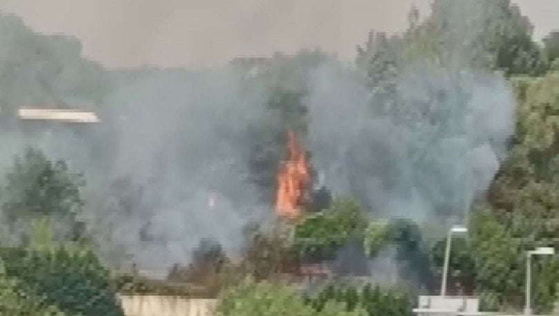 حريق في منطقة المشجرة بإسطنبول 1