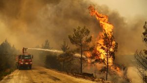 فرق الإطفاء تكافح لاحتواء حرائق الغابات في موغلا و أيدين