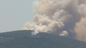 اندلاع حريق في غابات هيبليادا بإسطنبول