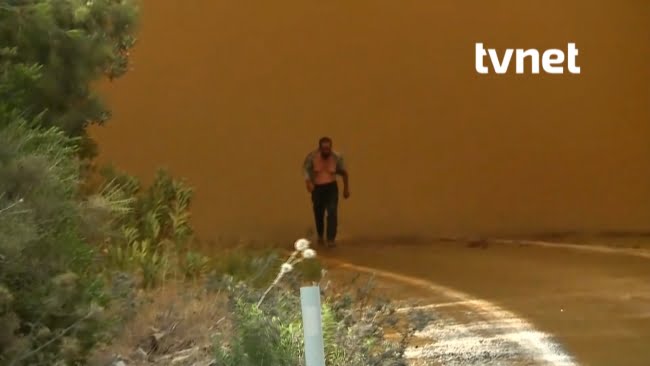 فيديو مرعب لتركي عاري يهرب من النيران المشتعلة في غابات موغلا 9