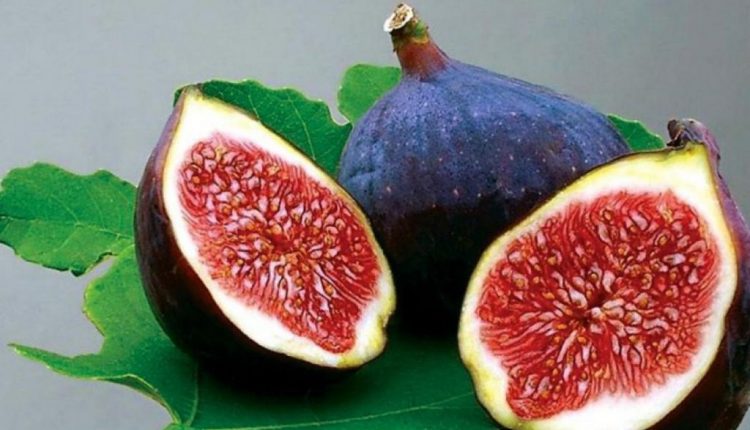 فوائد مذهلة للتين