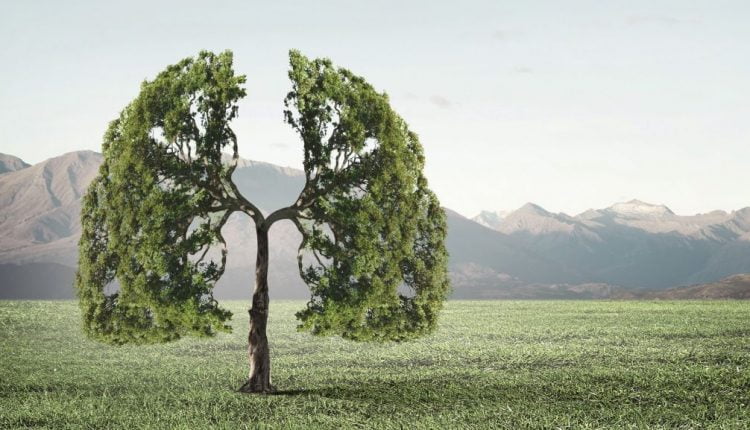 أطعمة تُعزز صحة الرئتين