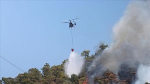 تركيا.. استمرار إطفاء حرائق الغابات برا وجوا