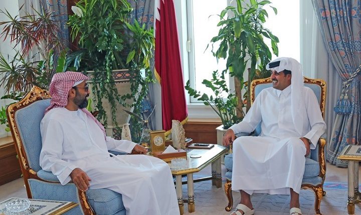 بعد زيارة طحنون لتركيا وقطر.. الإمارات تسابق الزمن للبحث عن فرص استثمار جديدة