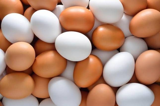 الكشف عن نوع من البيض يقدم فوائد كبيرة