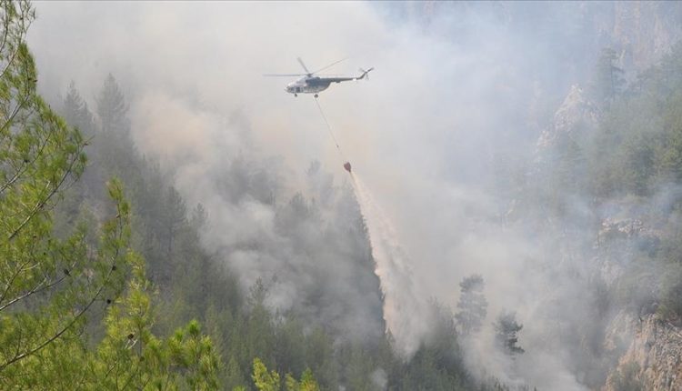 حرائق تركيا.. الحكومة أثبت قدرتها والمعارضة استغلت الكارثة