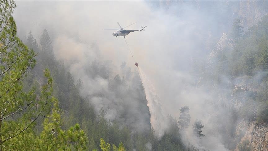 اندلاع حريق كبير في منطقة الغابات بإسطنبول 