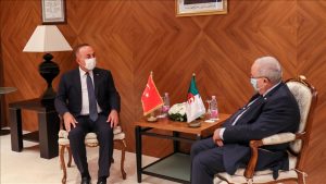 وزير الخارجية التركي يبدأ زيارة رسمية للجزائر
