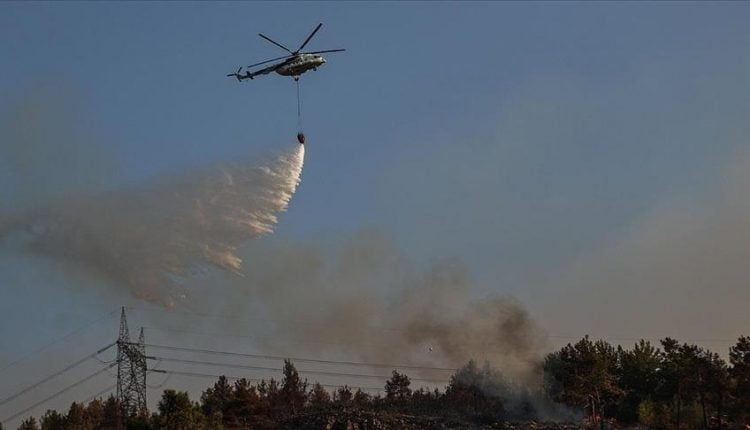 تواصل جهود إخماد حرائق الغابات بموغلا التركية