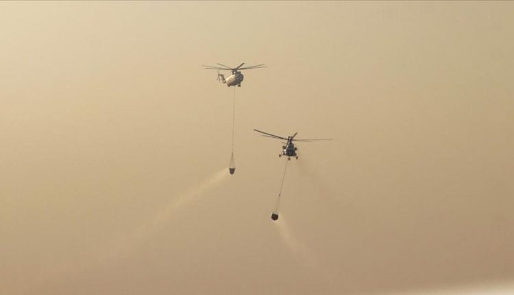 إخماد 160 حريق غابات من أصل 174