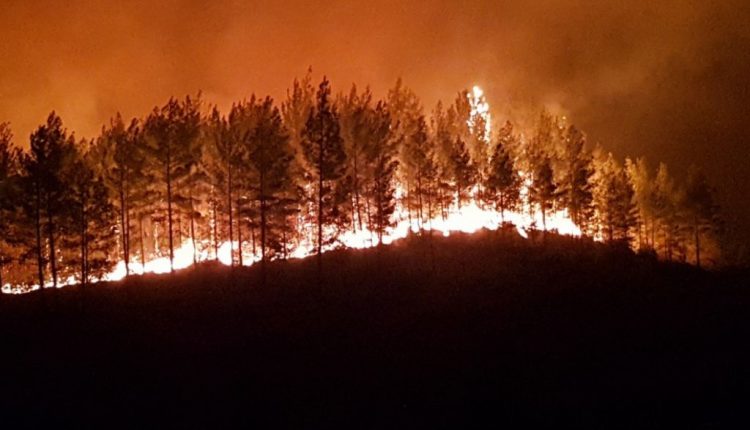 حريق في مانافجات