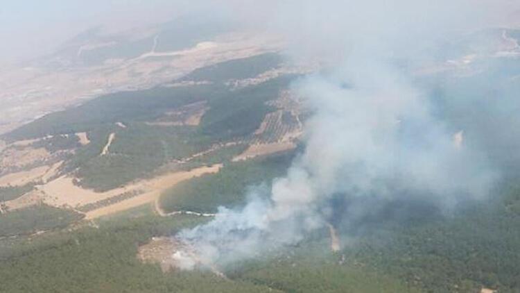 اندلاع حريق كبير في غابات إزمير 9