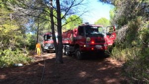 أنطاليا .. السيطرة على عدة حرائق اندلعت في غابات مانافجات