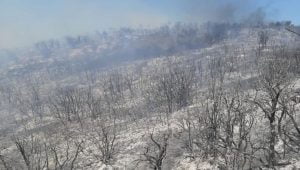 السيطرة على حريق في غابات مدينة جنق قلعة