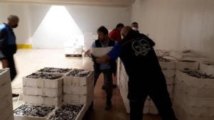 ضبط 2 طن من سمك الشاخور في اسطنبول