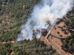 اندلاع حريق كبير في غابات إزمير