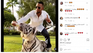 الفنان المصري محمد رمضان يُطعم نمرا.. وجمهوره يعلق! 1