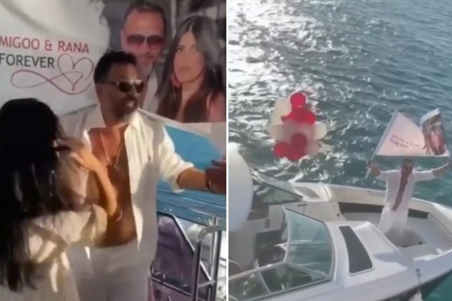 ماجد المصري