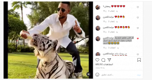 الفنان المصري محمد رمضان يُطعم نمرا.. وجمهوره يعلق! 3