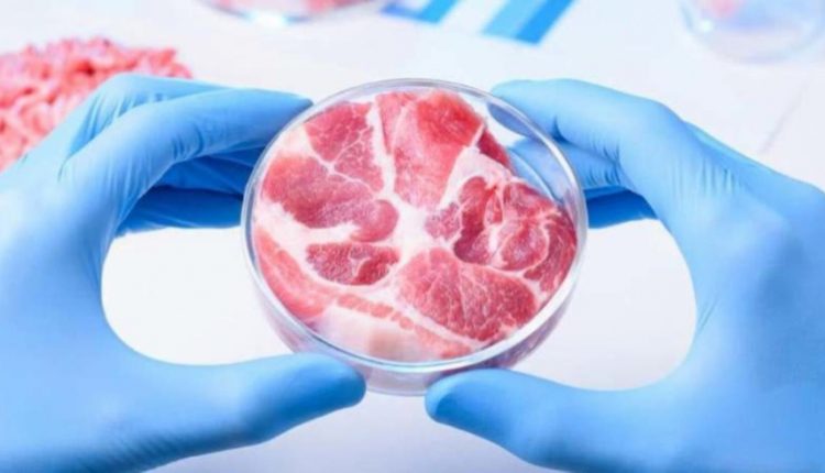 فتوى جديدة بخصوص اللحوم المصنعة مخبريًّا تثير جدلًا واسعا في الأوساط التركية