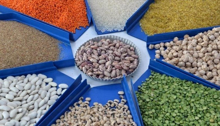 صادرات الحبوب