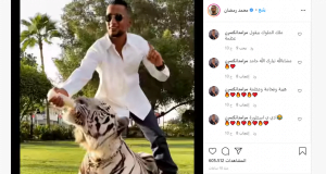 الفنان المصري محمد رمضان يُطعم نمرا.. وجمهوره يعلق! 5