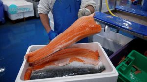 عائدات تركيا من سمك السلمون تحقق قفزات في 5 سنوات