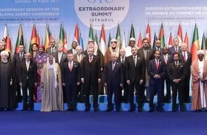 تركيا: على الدول الإسلامية أن ترفع صوتها عاليًا