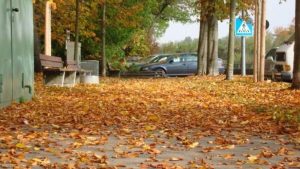 في فصل الخريف.. 13 طعاما تقي بها نفسك من الأمراض