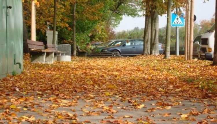 في فصل الخريف.. 13 طعاما تقي بها نفسك من الأمراض